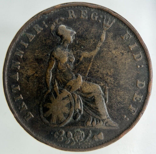 1853 Victoria Half-Penny Coin | Fine Collectable Grade