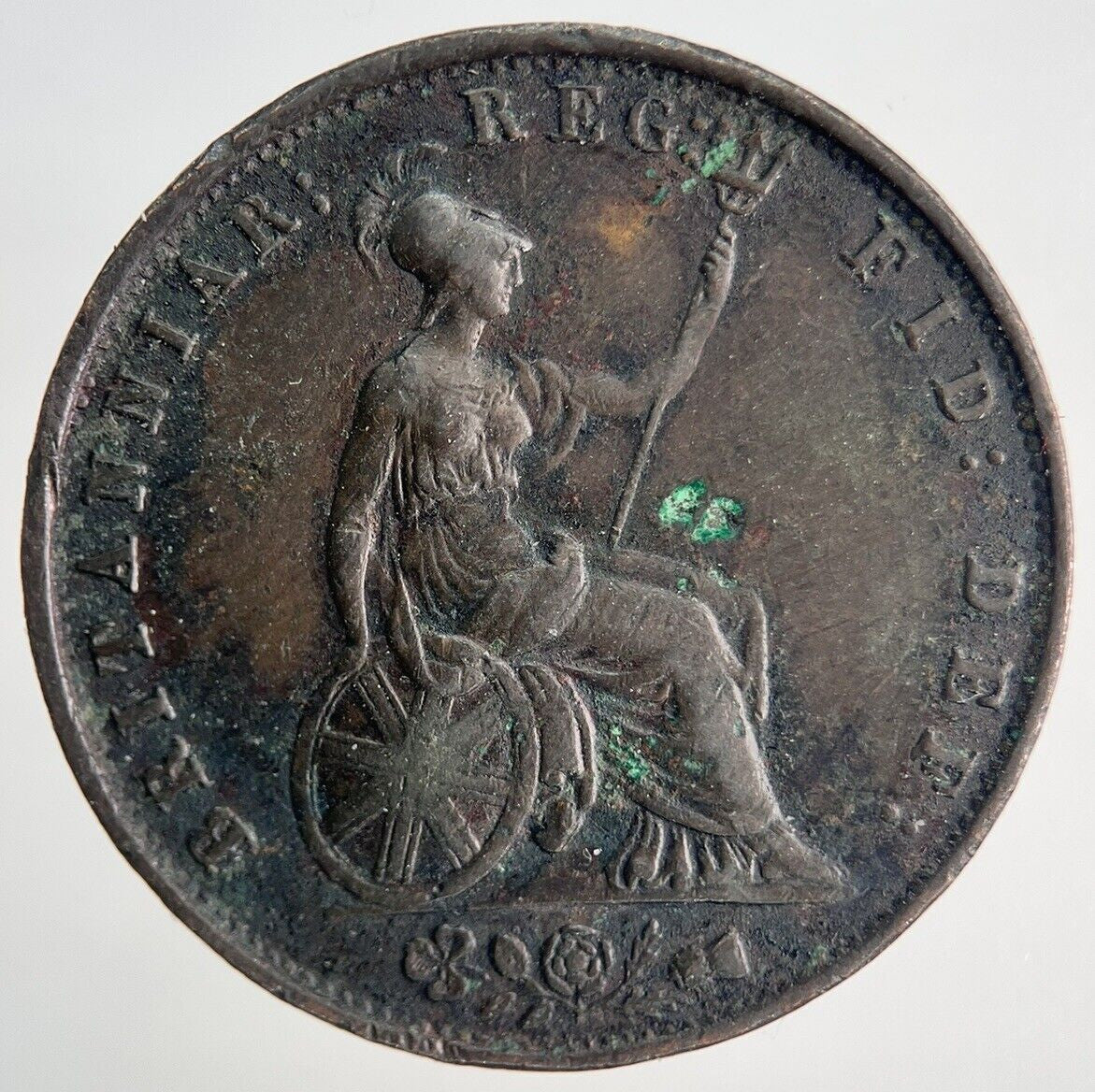1853 Victoria Half-Penny | British Copper Coin | Fine Collectable Grade | a1908