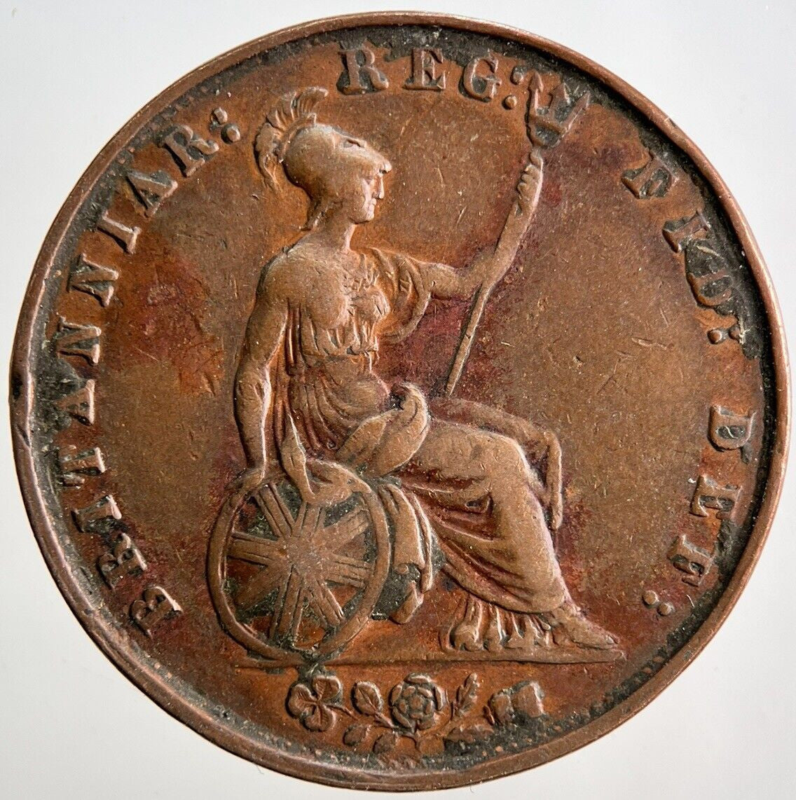 1853 Victoria Half-Penny Coin | Fine Collectable Grade | a3400