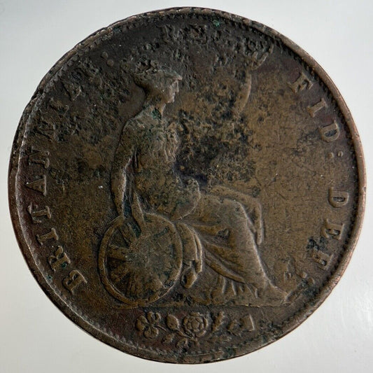 1853 Victoria Half-Penny Coin | Collectable Grade