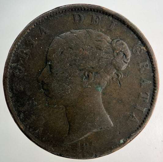 1853 Victoria Half-Penny Coin | Collectable Grade