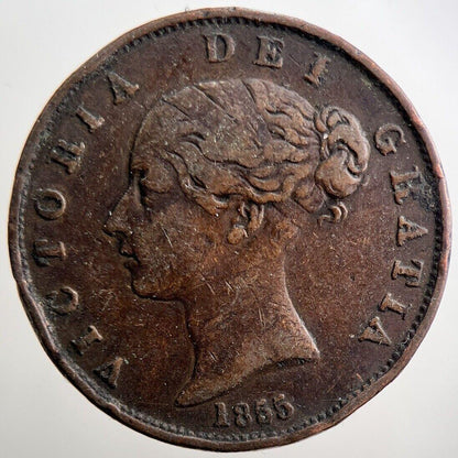1855 Victoria Half-Penny Coin | Fine Collectable Grade | a3806