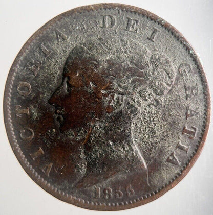 1855 Victoria Half-Penny Coin | Fine Collectable Grade | a4399