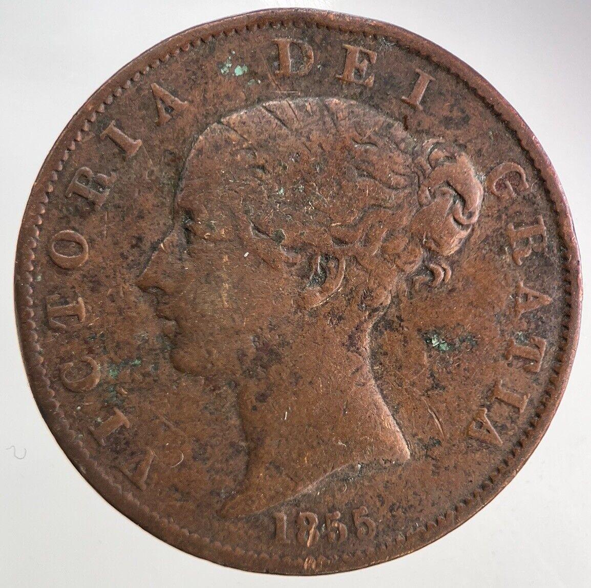 1855 Victoria Half-Penny Coin | Fine Collectable Grade