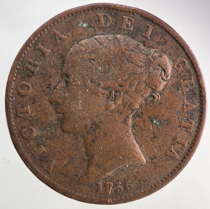 1855 Victoria Half-Penny Coin | Fine Collectable Grade