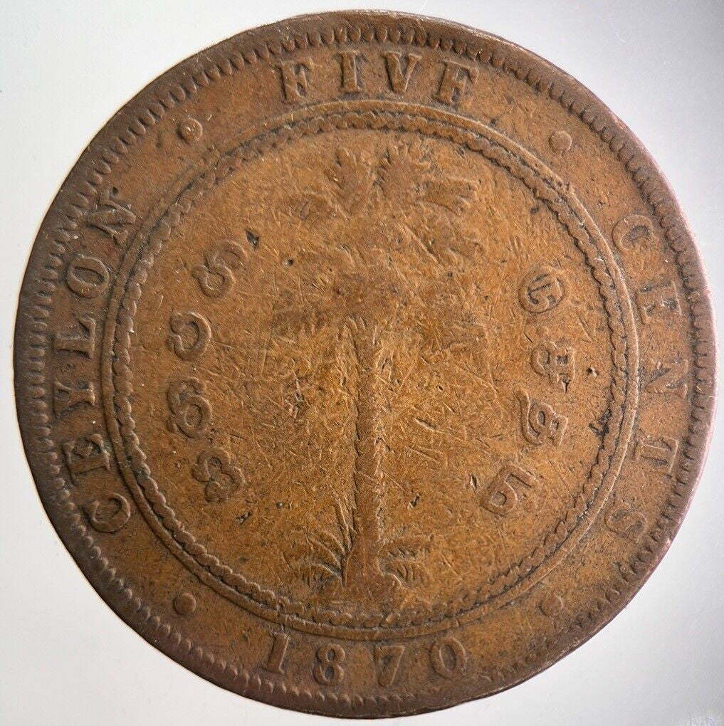 1870 5 Cents Ceylon Sri Lanka Coin | Collectable Grade | a4663