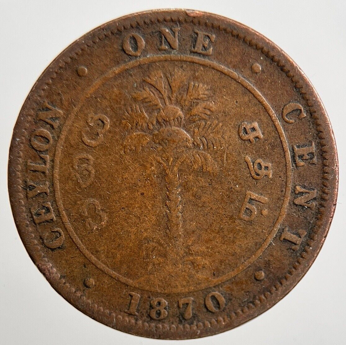 1870 Ceylon 1 One Cent Coin | Collectable Grade | a2105