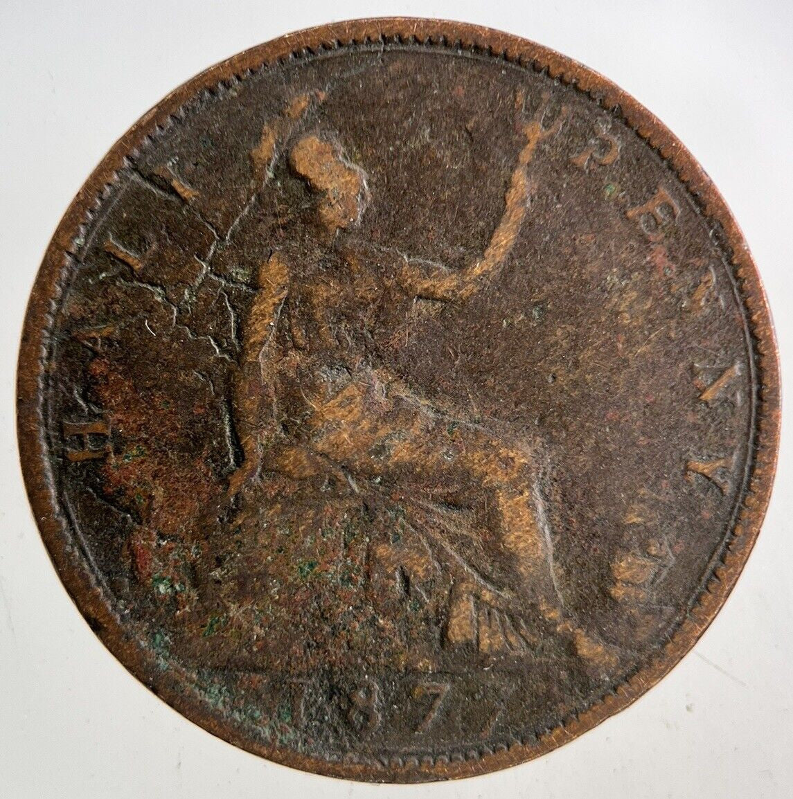 1877 Victoria Half-Penny Coin | Collectable Grade