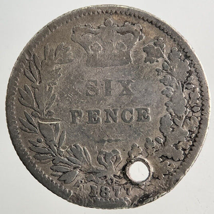 1877 Victoria Sixpence Silver Coin | Collectable Grade
