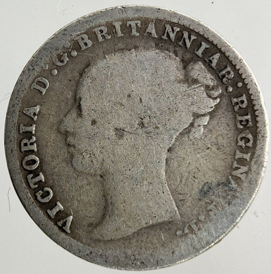 1877 Victoria Threepence Silver Coin | Collectable Grade