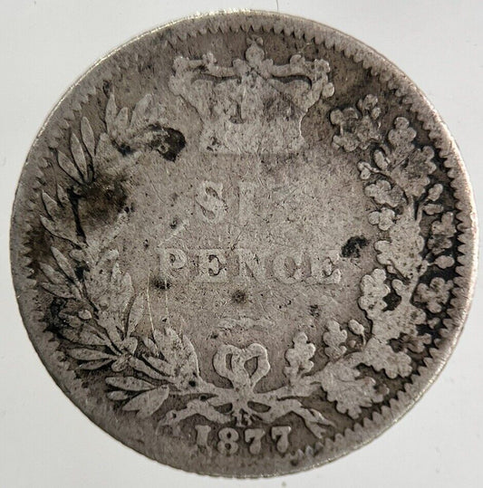 1877 Victoria Sixpence Silver Coin | Collectable Grade
