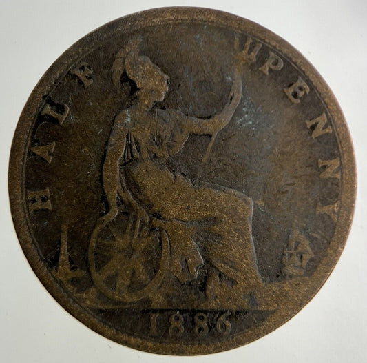 1886 Victoria Half-Penny Coin | Collectable Grade