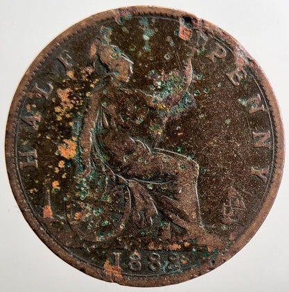 1888 Victoria Half-Penny Coin | Collectable Grade | a3808