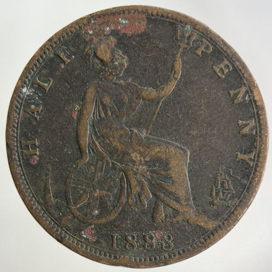 1888 Victoria Half-Penny Coin | Collectable Grade
