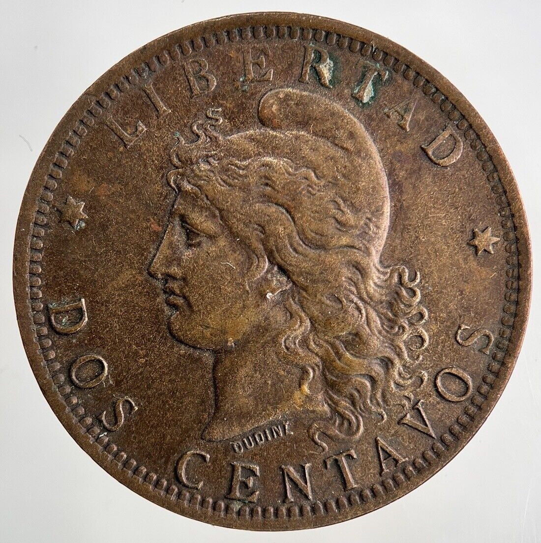 1890 Argentina Dos 2 Centavos Coin | Fine Collectable Grade