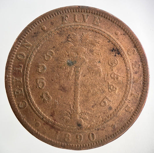1890 Victoria 5 Cent Coin | Collectable Grade