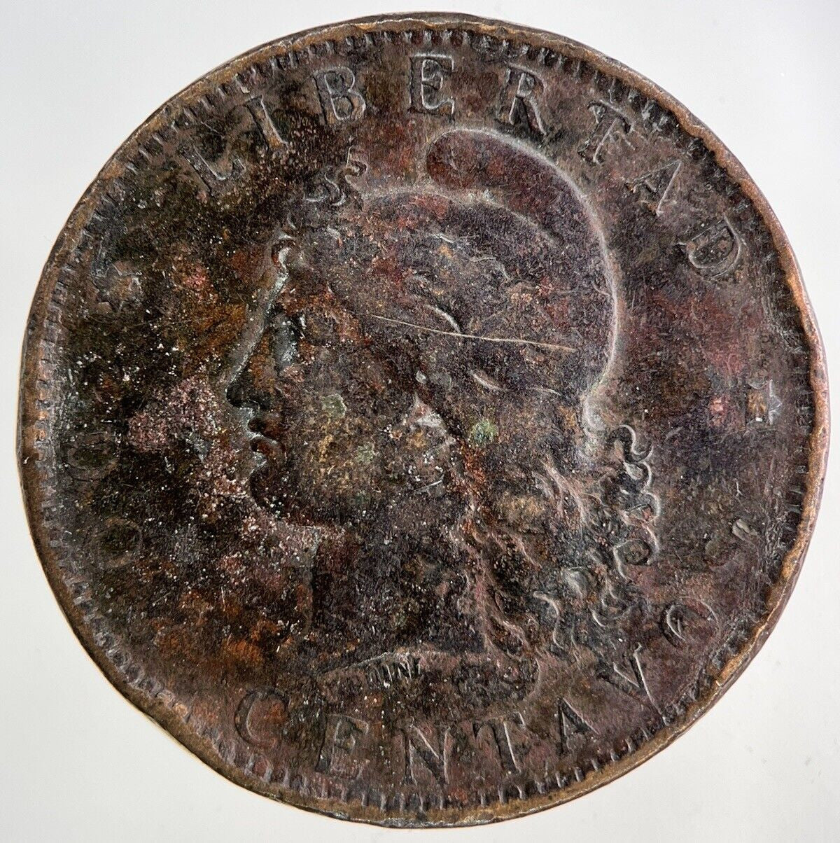 1891 Argentina 2 Dos Centavos Coin | Fine Collectable Grade