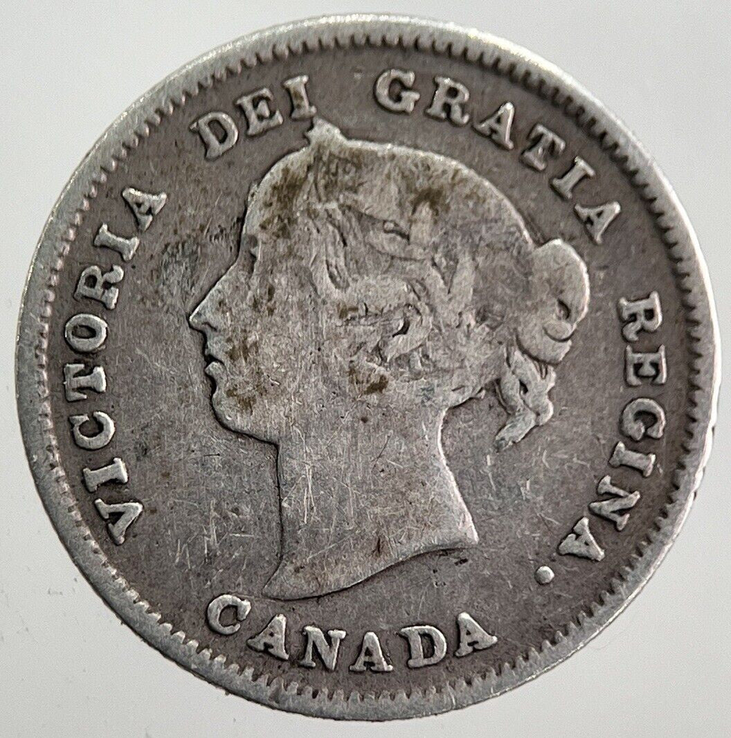 1891 Canada 5 Cents Silver Coin | Collectable Grade | a7818