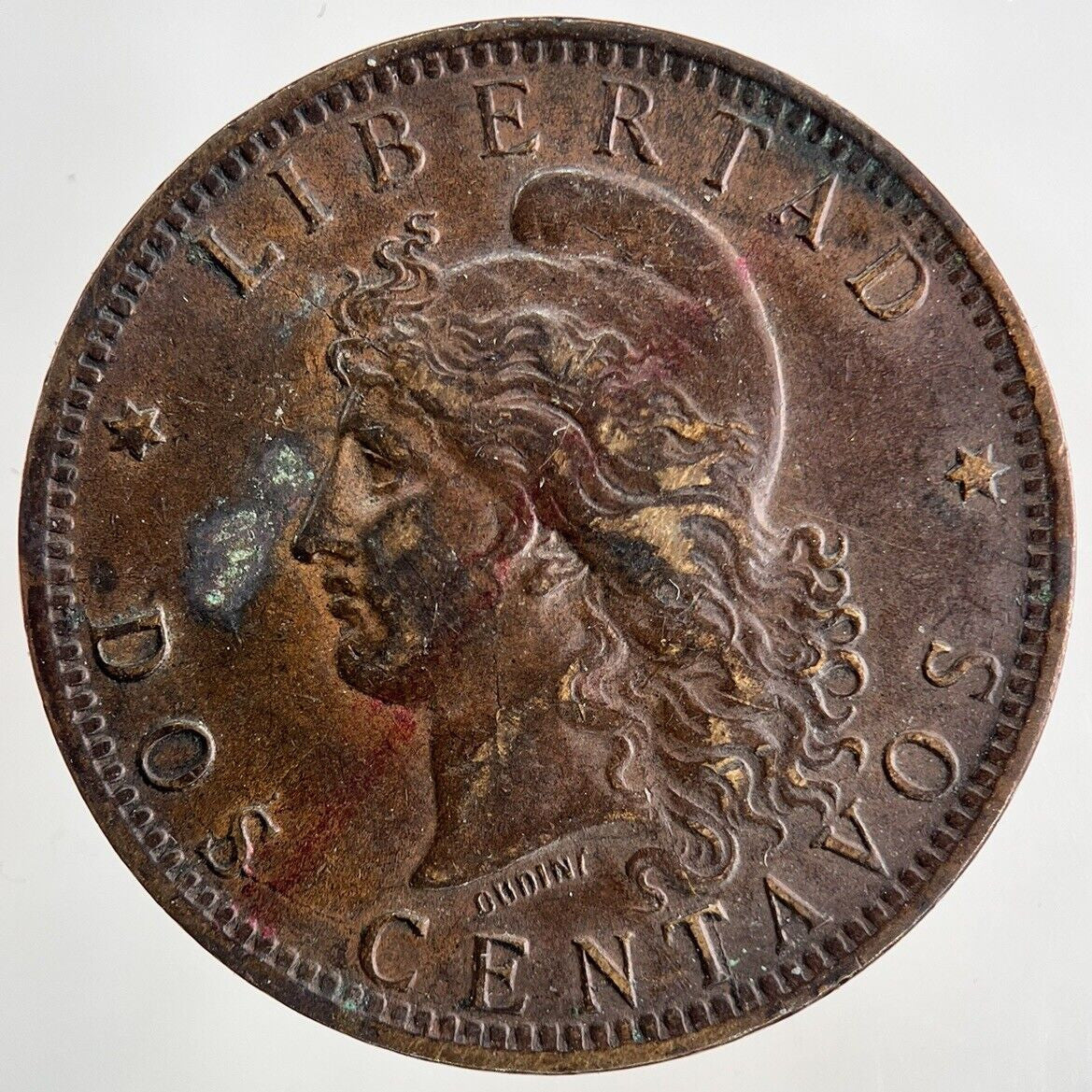 1895 Argentina Dos 2 Centavos Coin | Fine Collectable Grade