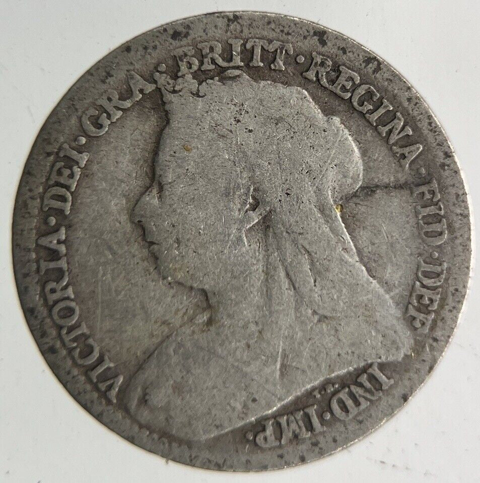 1901 Victoria Threepence Silver Coin | Collectable Grade