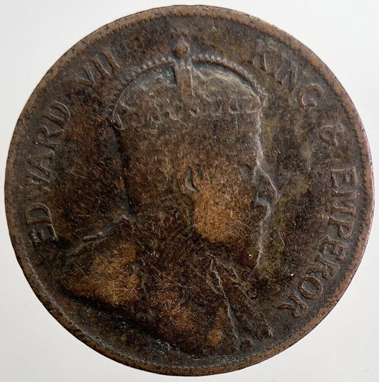 1903 Hong Kong 1 Cent Coin | Collectable Grade | a5678