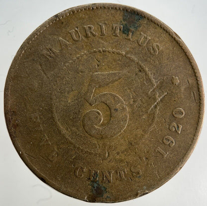 1920 Mauritius 5 Cents Cent Coin | Collectable Grade