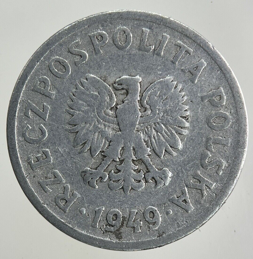 1949 Poland 20 Groszy Coin | Collectable Grade