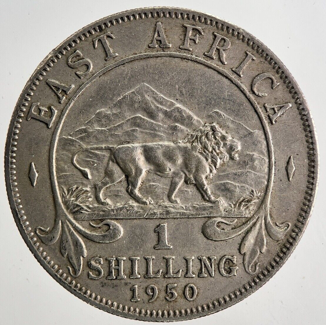1950 East Africa One Shilling Coin | Very High Grade | a6694