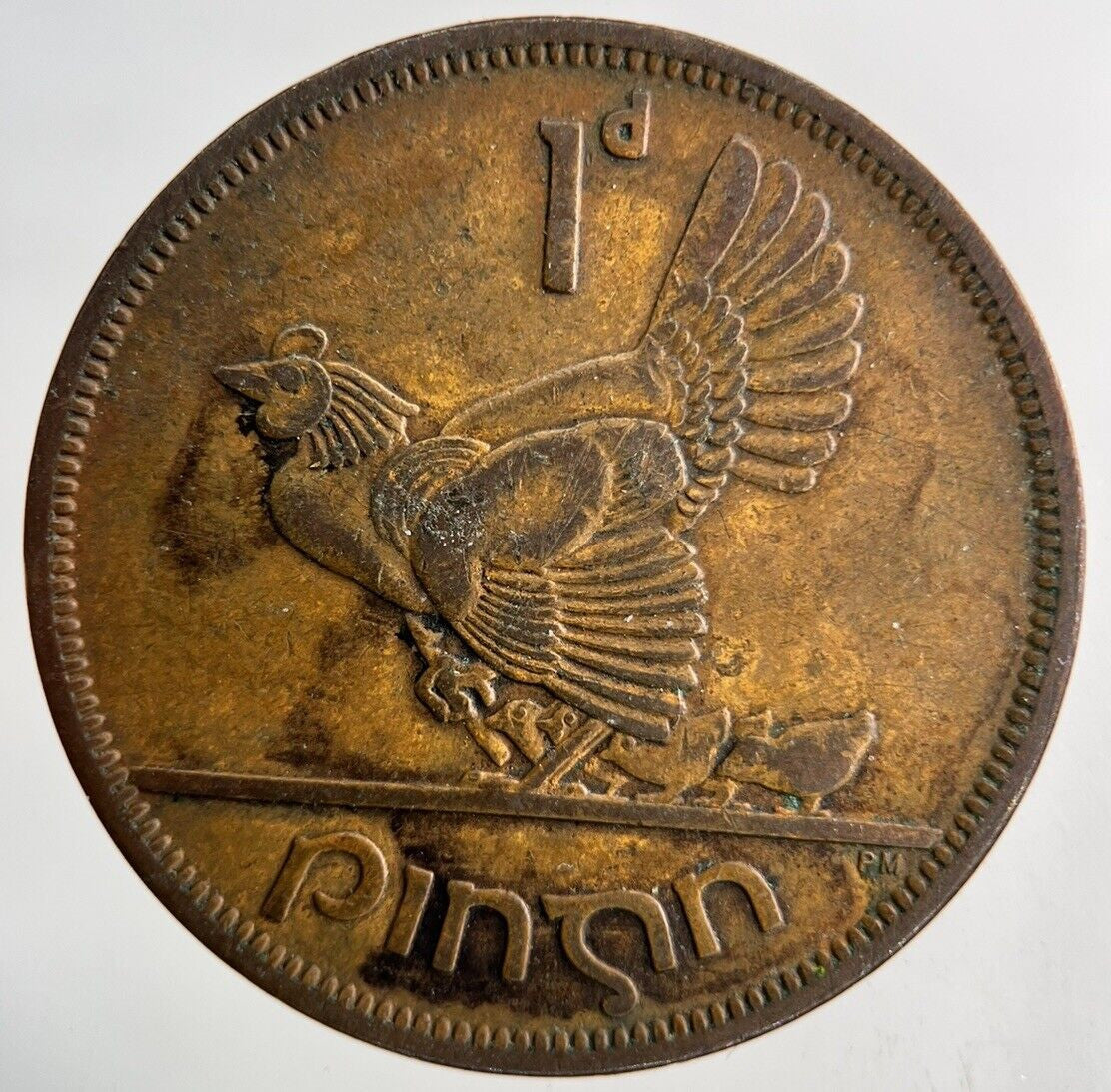 1950 Irish One Penny Coin | Collectable Grade