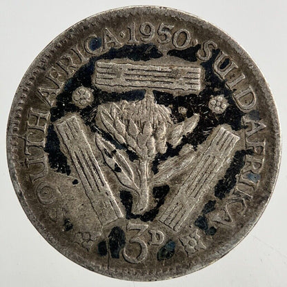 1950 South Africa Threepence Silver Coin | Collectable Grade