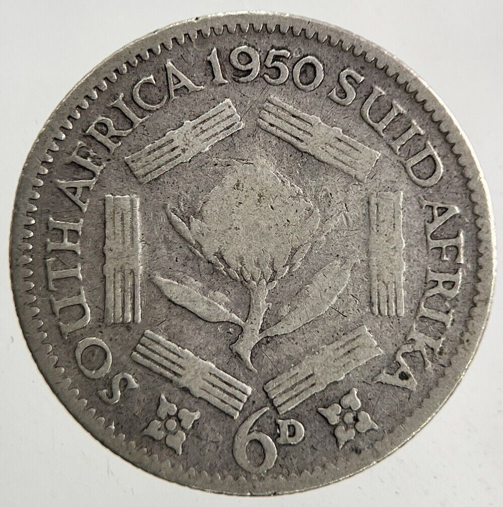 1950 South Africa Sixpence Silver Coin | Collectable Grade