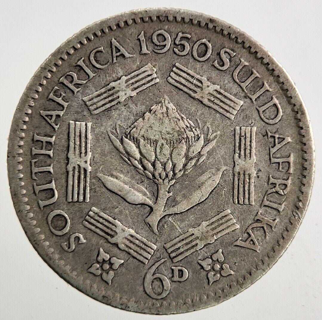 1950 South Africa Sixpence Silver Coin | Fine Collectable Grade