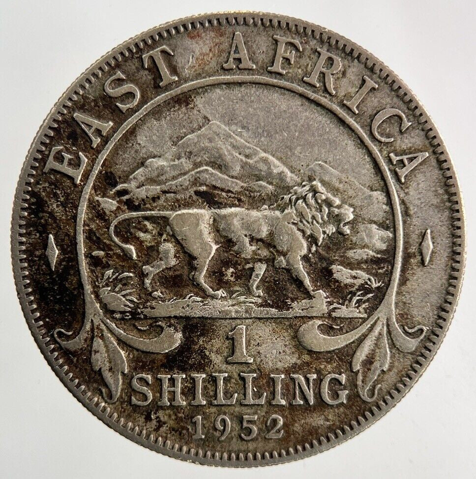 1952 East Africa One Shilling Coin | Fine Collectable Grade