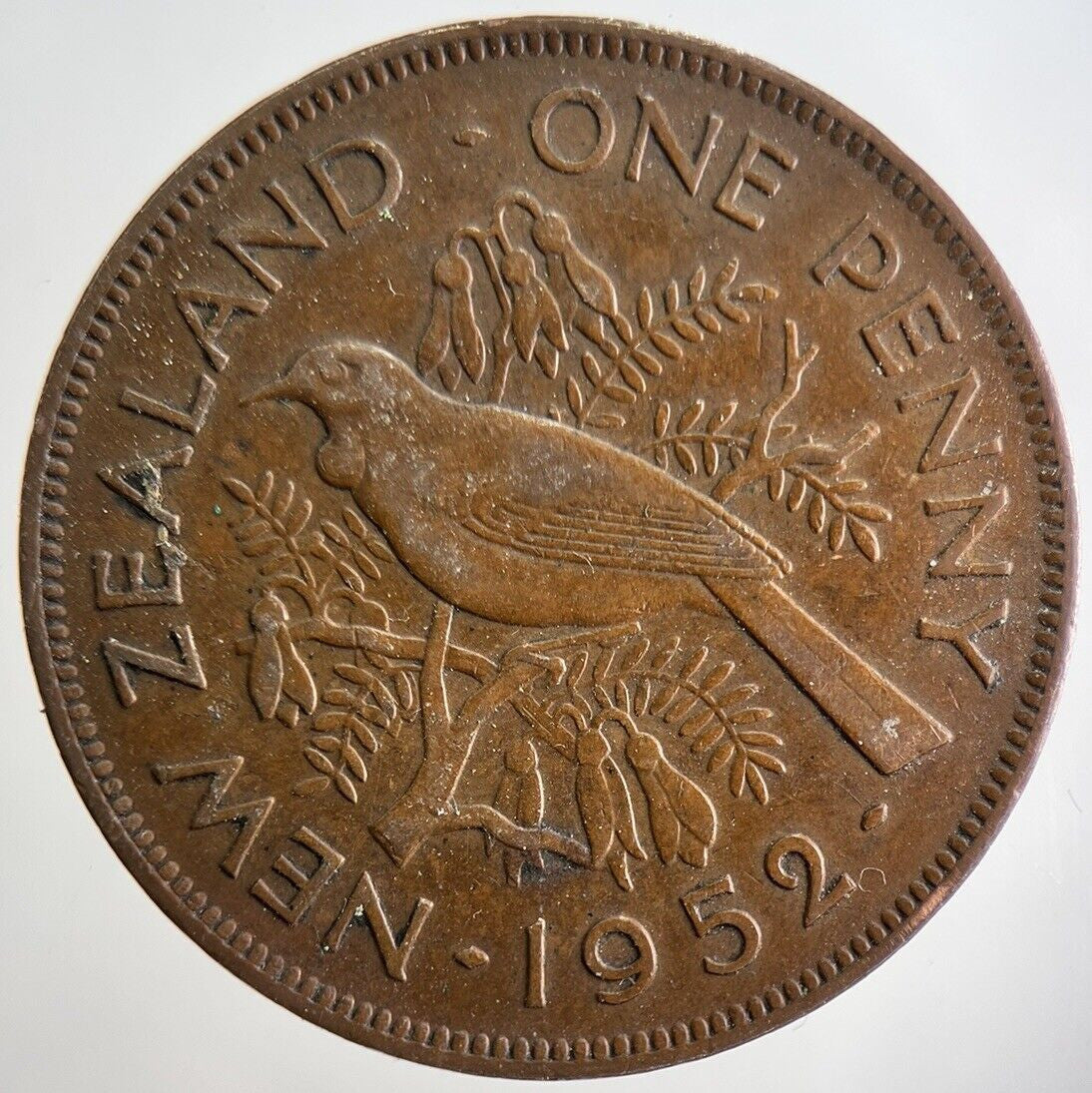 1952 New Zealand Penny Coin | Very High Grade | a615