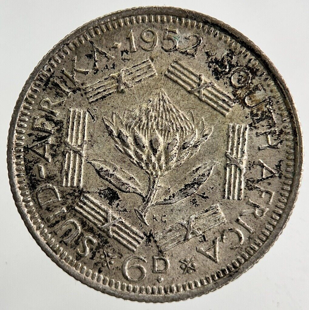 1952 South Africa Sixpence Silver Coin | Very High Grade