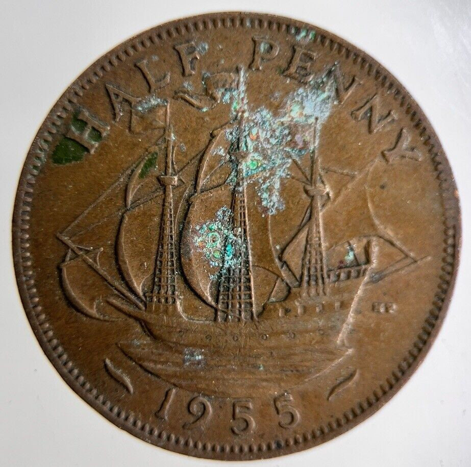 1955 Elizabeth II 2nd Half-Penny Coin | Fine Collectable Grade