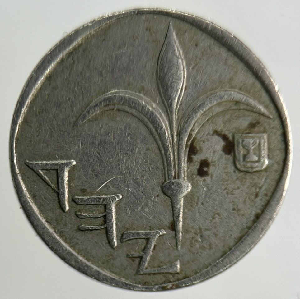 Israel New Sheqel Coin | Fine Collectable Grade
