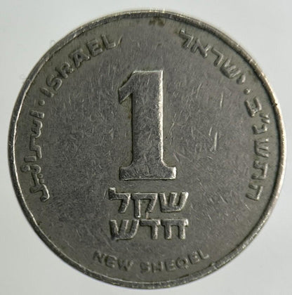Israel New Sheqel Coin | Fine Collectable Grade