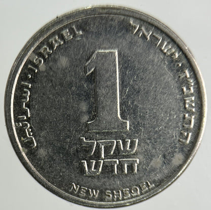Israel New Sheqel Coin | Fine Collectable Grade