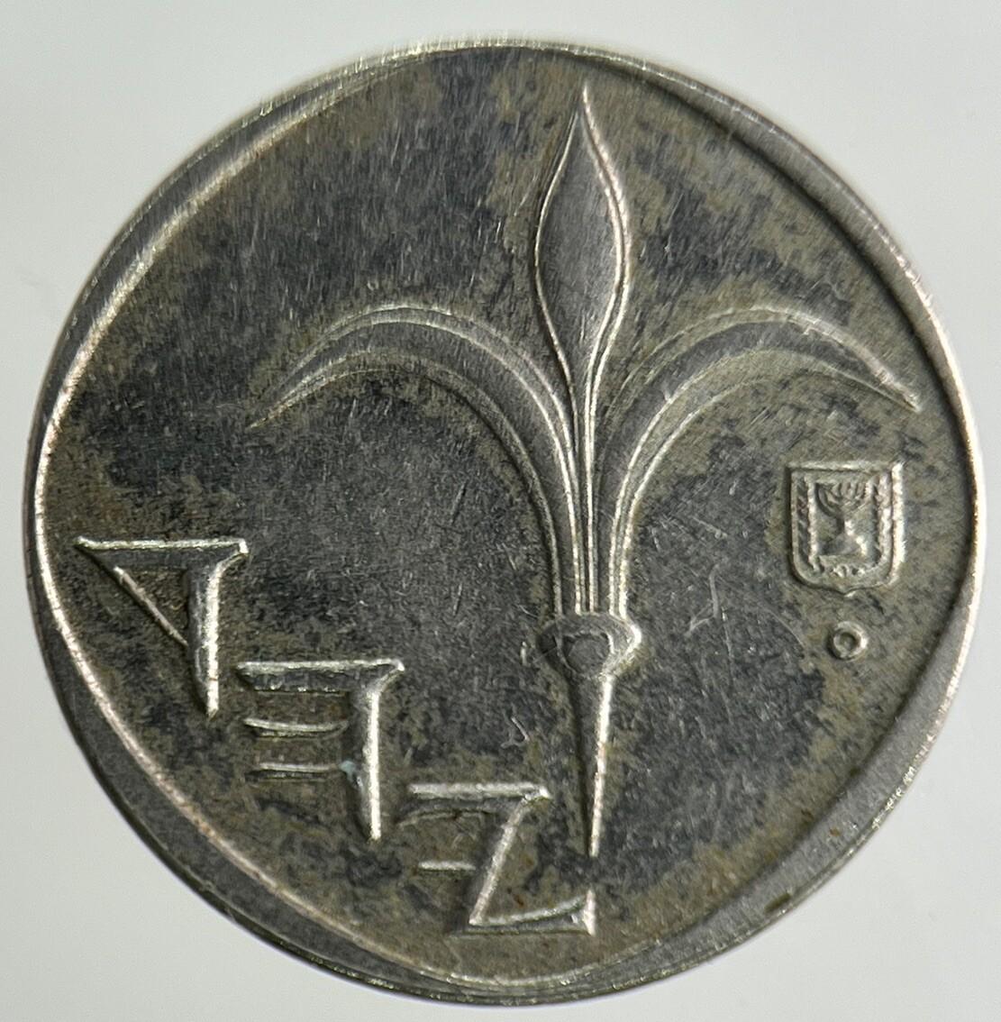 Israel New Sheqel Coin | Fine Collectable Grade