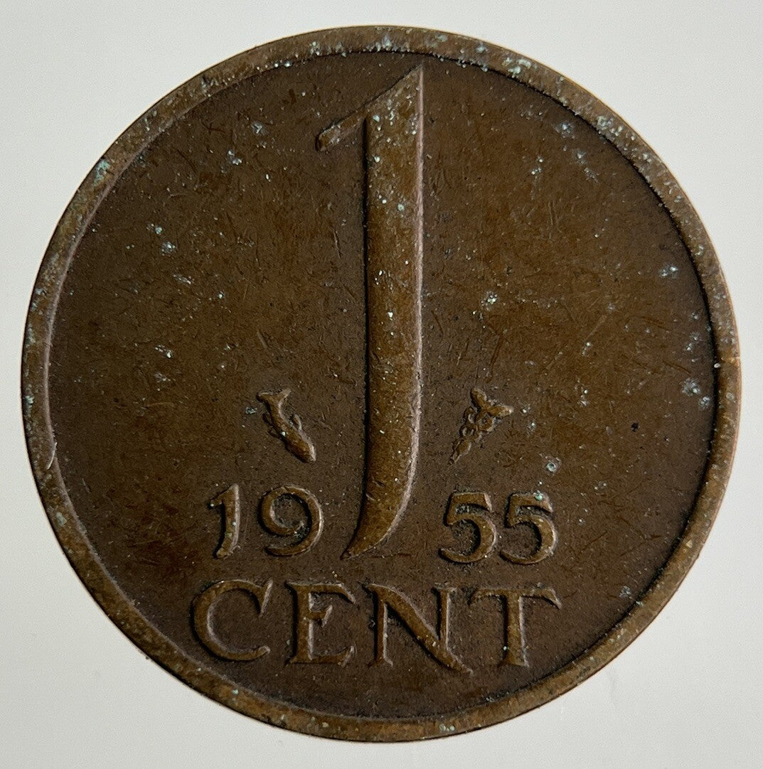1955 Netherlands 1 Cent Coin | Fine Collectable Grade