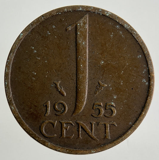 1955 Netherlands 1 Cent Coin | Fine Collectable Grade