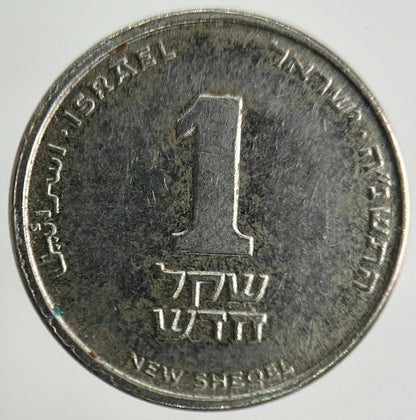 Israel New Sheqel Coin | Fine Collectable Grade