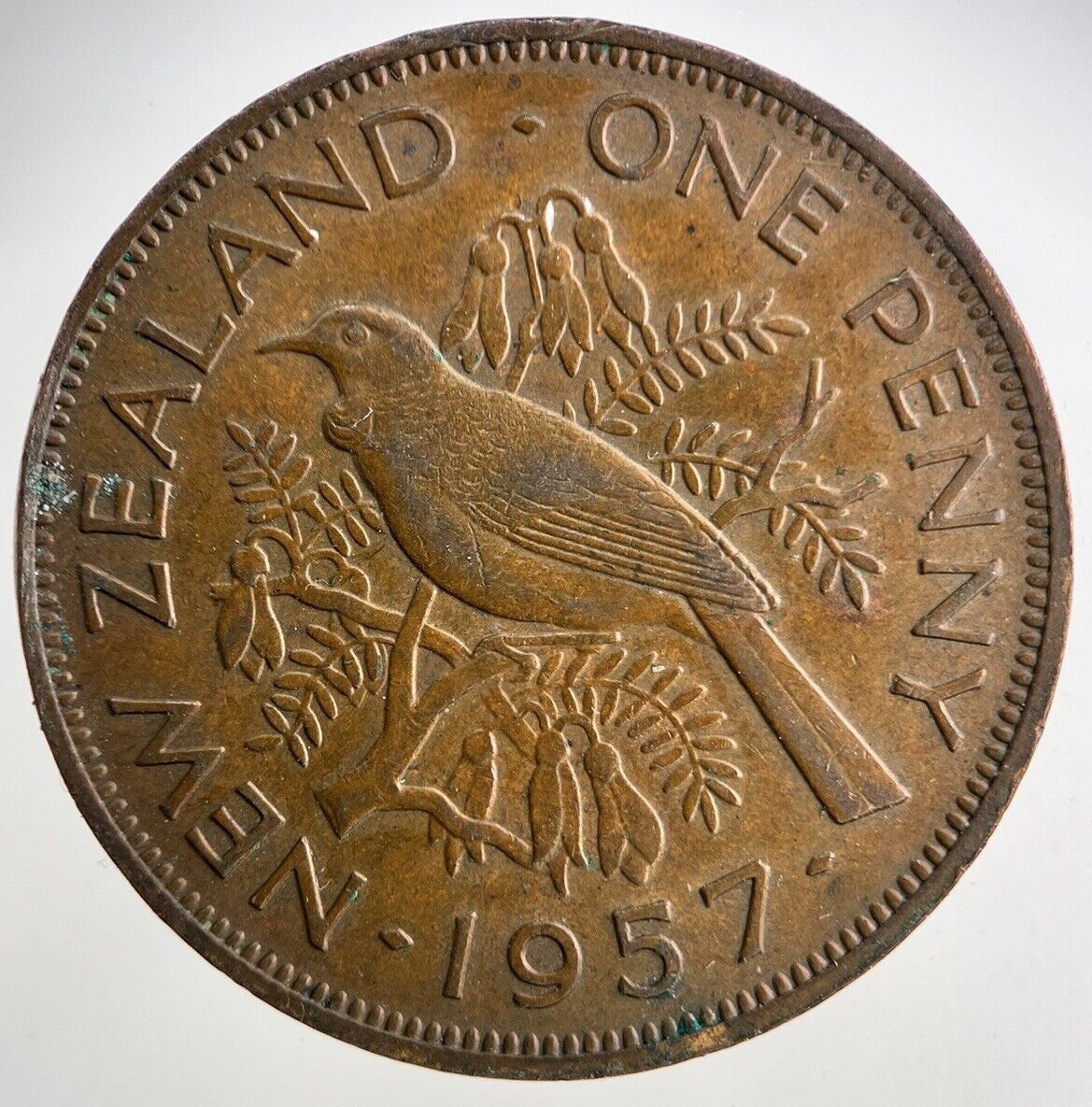 1957 New Zealand One Penny Coin | Fine Collectable Grade