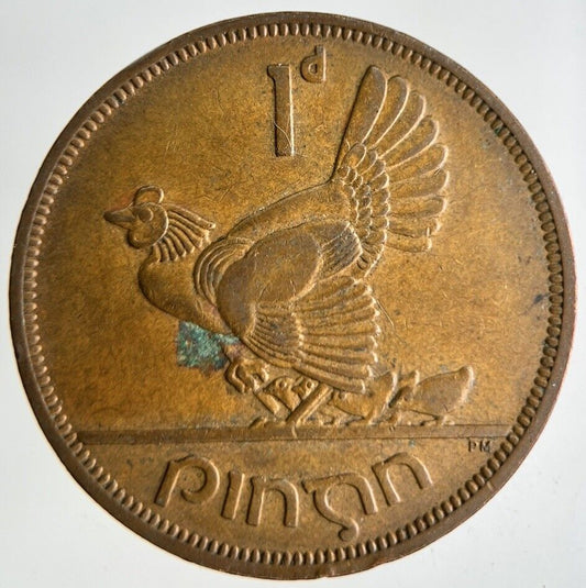 1964 Irish One Penny Coin | Very High Grade