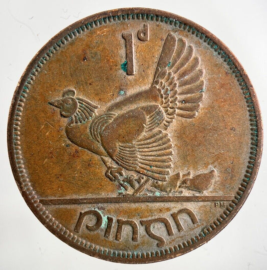 1964 Irish One Penny Coin | Fine Collectable Grade