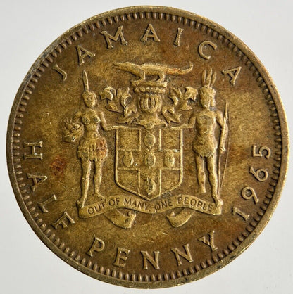 1965 Jamaica Half-Penny Coin | Fine Collectable Grade