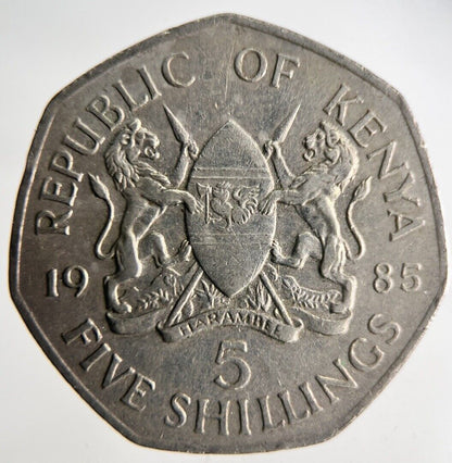 1985 Africa Kenya 5 Shillings Coin | Fine Collectable Grade