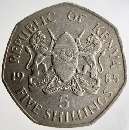 1985 Africa Kenya 5 Shillings Coin | Fine Collectable Grade
