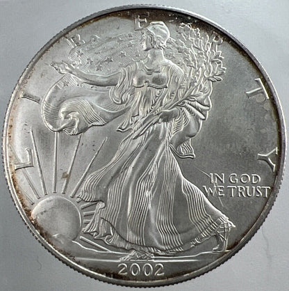2002 American Silver Eagle Coin 1oz Silver Coin | a3942